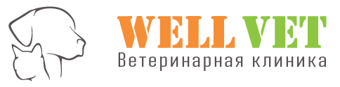 Ветеринарная клиника "WELL VET" г. Набережные Челны Ветеринарная клиника "WELL VET" г. Набережные Челны