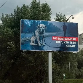 "Не выбрасывай того, кто тебя любит" "Не выбрасывай того, кто тебя любит"