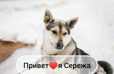 Хочу домой! Хочу домой!
