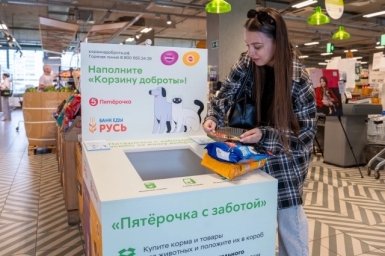 С начала года «Пятерочка» увеличила на 25% объем помощи бездомным животным С начала года «Пятерочка» увеличила на 25% объем помощи бездомным животным