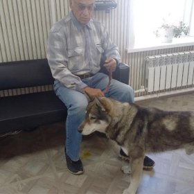 "Если с другом буду я, а медведь без друга"