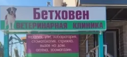 Ветеринарная клиника "Бетховен" г. Елабуга