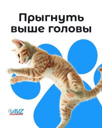 Прыгнуть выше головы Прыгнуть выше головы