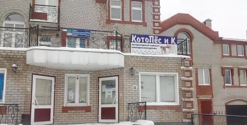 Ветеринарный центр "Котопёс и К" г. Набережные Челны