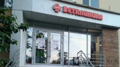 Ветеринарная клиника "АбсолютВет"
