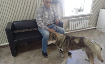 "Если с другом буду я, а медведь без друга" "Если с другом буду я, а медведь без друга"