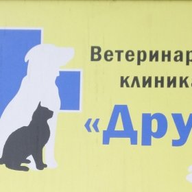 Ветеринарный центр "Друг" г. Набережные Челны Ветеринарный центр "Друг" г. Набережные Челны