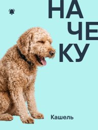 Кашель у собаки: когда это просто реакция, а когда нужен ветеринарный врач? Кашель у собаки: когда это просто реакция, а когда нужен ветеринарный врач?