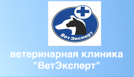 Ветеринарная клиника "ВетЭксперт" г. Набережные Челны Ветеринарная клиника "ВетЭксперт" г. Набережные Челны