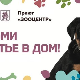 Мунициальный приют для собак "Зооцентр"