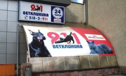 Сеть ветеринарных клиник "911"