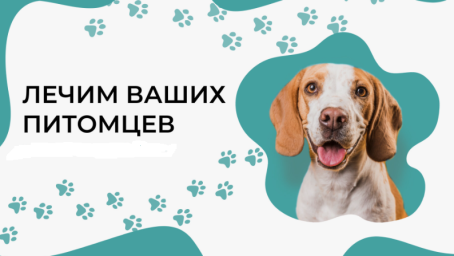 Центр ветеринарной помощи "Четыре лапки" г. Нижнекамск Центр ветеринарной помощи "Четыре лапки" г. Нижнекамск