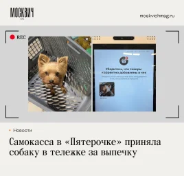 Ричик - сладкая булочка 😂
