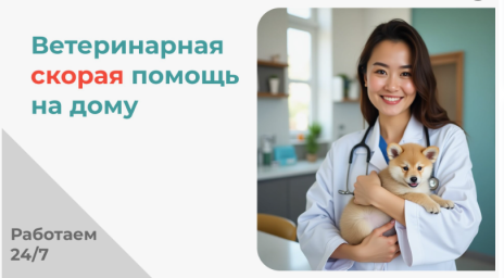 Ветеринарная помощь на дому VetDocs