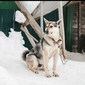Хочу домой! 4