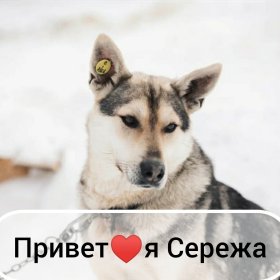 Хочу домой! Хочу домой!