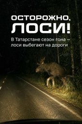 Осторожно: лоси на дорогах! Осторожно: лоси на дорогах!