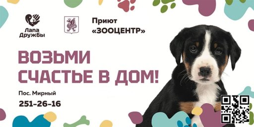 Мунициальный приют для собак "Зооцентр" Мунициальный приют для собак "Зооцентр"