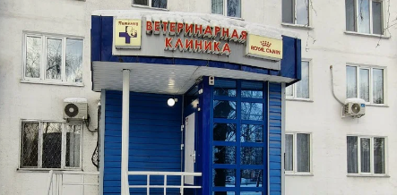 Ветеринарная клиника "Питомец" г. Набережные Челны Ветеринарная клиника "Питомец" г. Набережные Челны