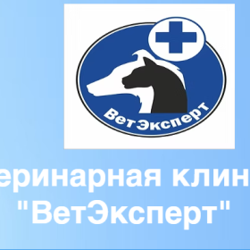 Ветеринарная клиника "ВетЭксперт" г. Набережные Челны Ветеринарная клиника "ВетЭксперт" г. Набережные Челны