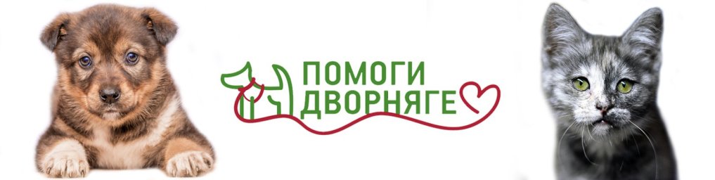 Приют для кошек и собак «Помоги Дворняге» Приют для кошек и собак «Помоги Дворняге»