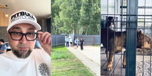 У живодера Баласяна приставы изъяли животных