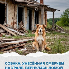 Унесенная смерчем Унесенная смерчем