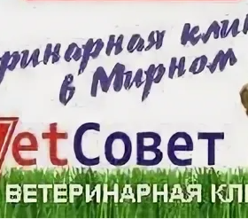 Ветеринарная клиника "VetСовет"