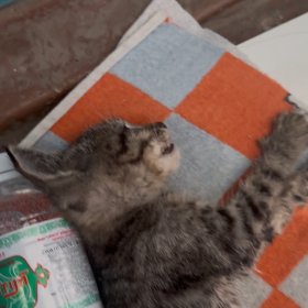 Срочно нужна помощь!