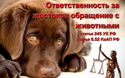 Статья 245 Уголовного кодекса РФ Статья 245 Уголовного кодекса РФ