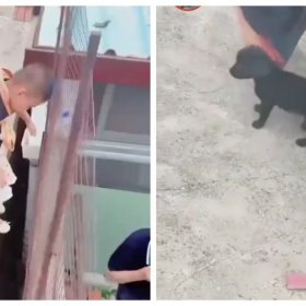 Маленький Человек с большим сердцем