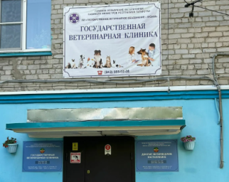 Участковая ветеринарная лечебница Кировского р-на г. Казани Участковая ветеринарная лечебница Кировского р-на г. Казани