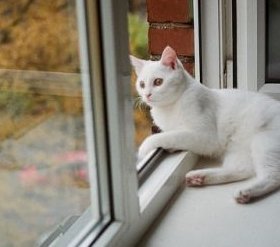 Осторожно: открытое окно! Осторожно: открытое окно!