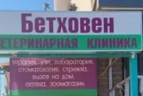 Ветеринарная клиника "Бетховен" г. Елабуга