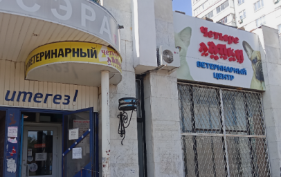 Ветеринарный центр "Четыре лапки" г. Набережные Челны Ветеринарный центр "Четыре лапки" г. Набережные Челны