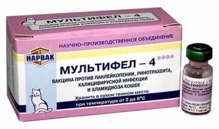 Владельцы кошек массово жалуются на российскую вакцину «Мультифел» Владельцы кошек массово жалуются на российскую вакцину «Мультифел»