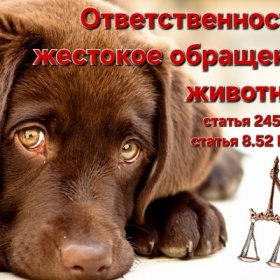 Статья 245 Уголовного кодекса РФ Статья 245 Уголовного кодекса РФ