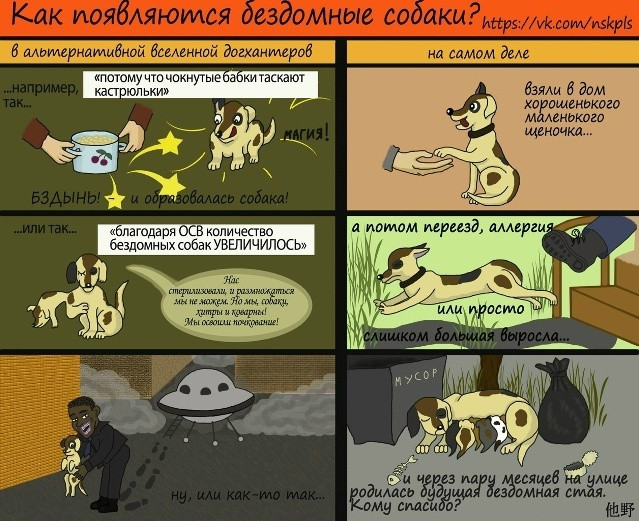 бездомные собаки Изображение
