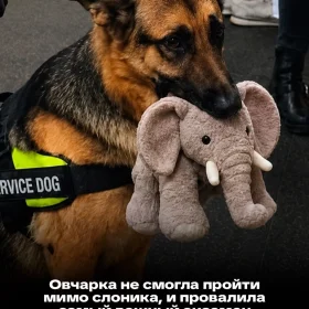 «Он просто выбрал счастье» «Он просто выбрал счастье»