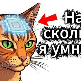 Как устроен кошачий интеллект Как устроен кошачий интеллект