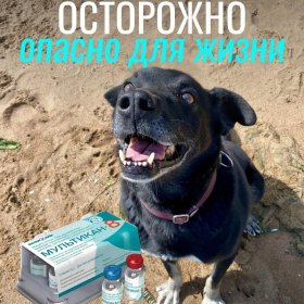 Осторожно: Мультикан-8!!! Осторожно: Мультикан-8!!!