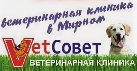 Ветеринарная клиника "VetСовет"